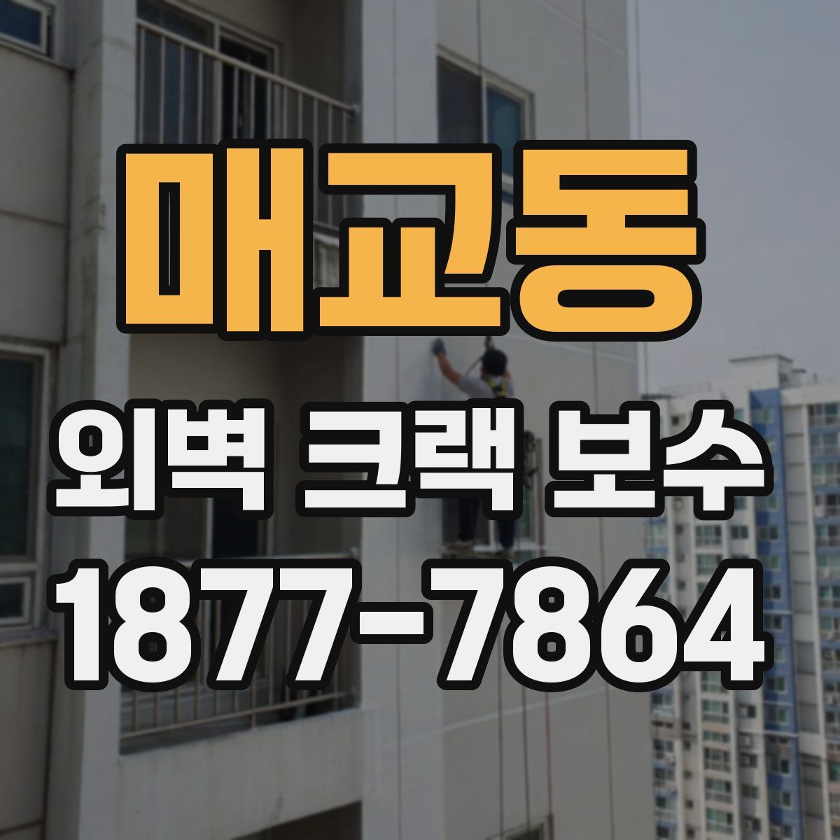 매교동 외벽 크랙 보수