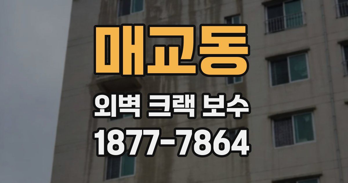 매교동 외벽 크랙 보수