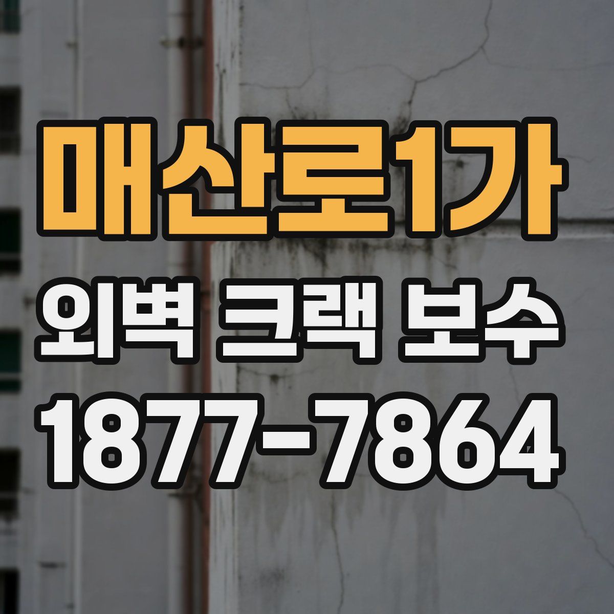 매산로1가 외벽 크랙 보수