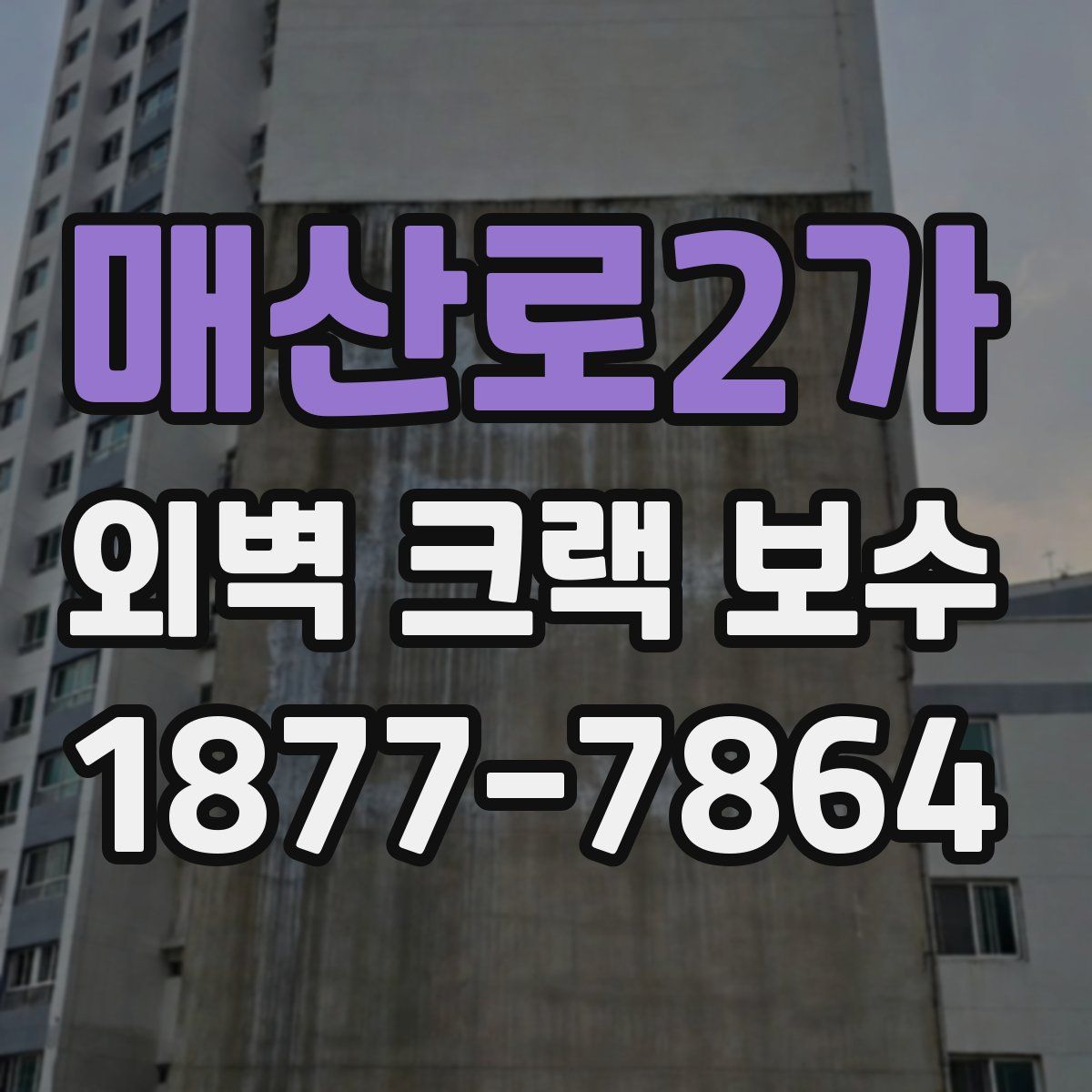 매산로2가 외벽 크랙 보수