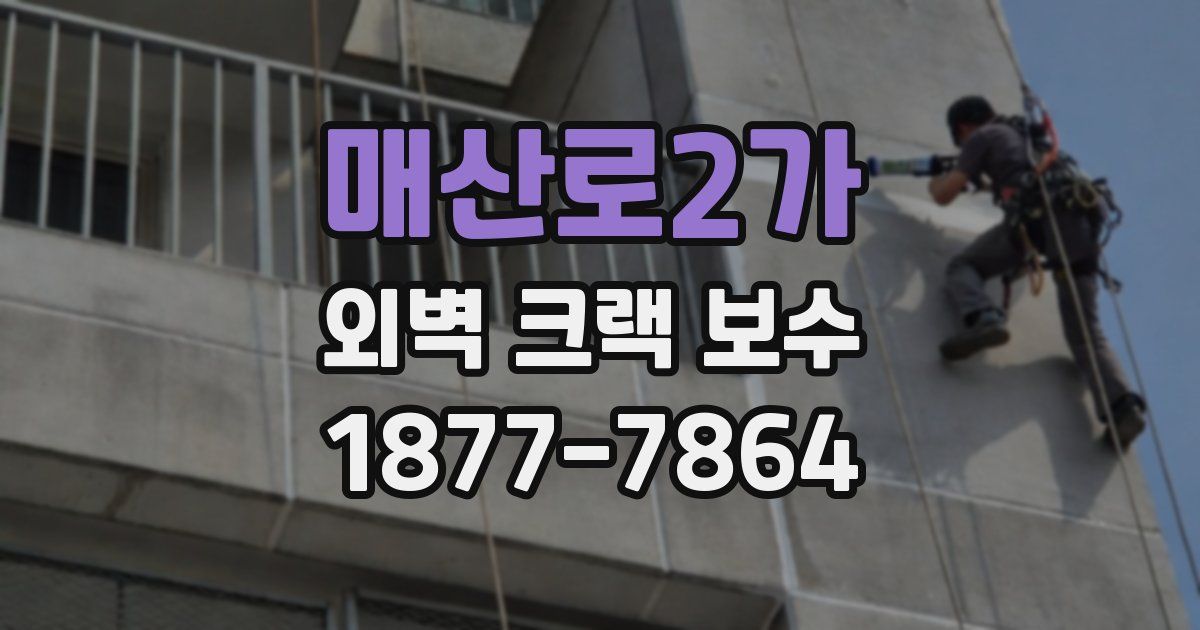매산로2가 외벽 크랙 보수