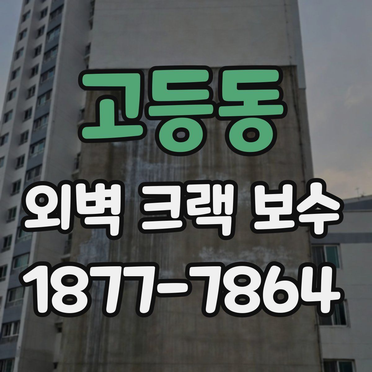 고등동 외벽 크랙 보수