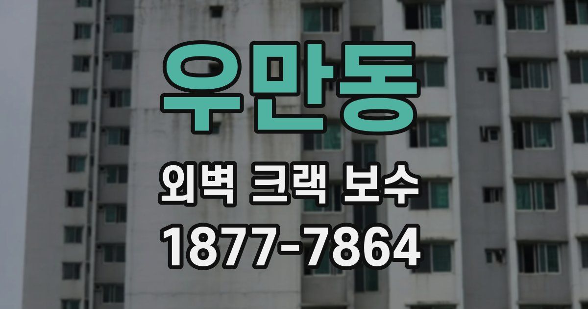 우만동 외벽 크랙 보수