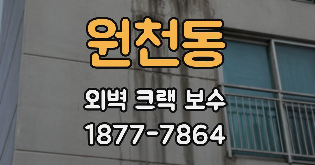 원천동 외벽 크랙 보수