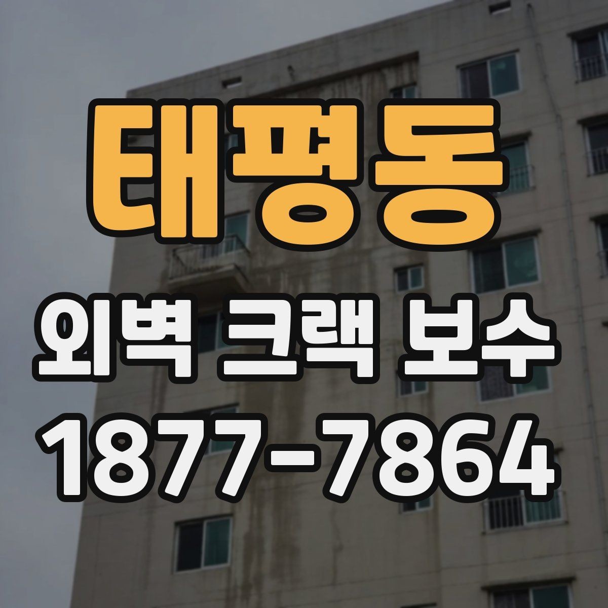 태평동 외벽 크랙 보수 현장 확인에서 보는 핵심 포인트