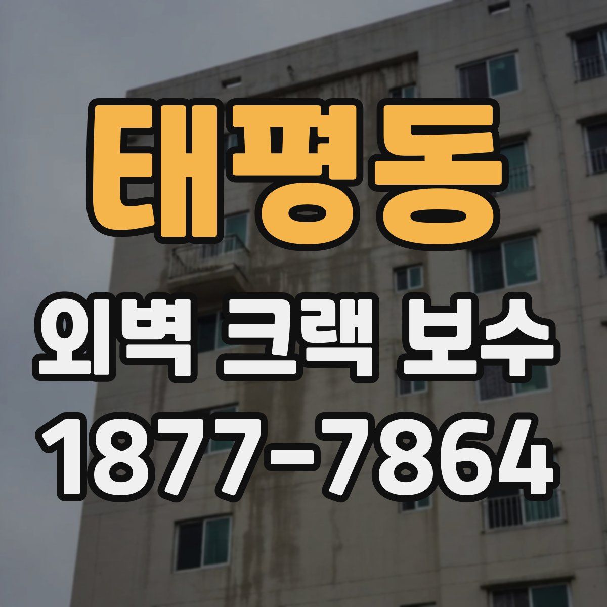 태평동 외벽 크랙 보수