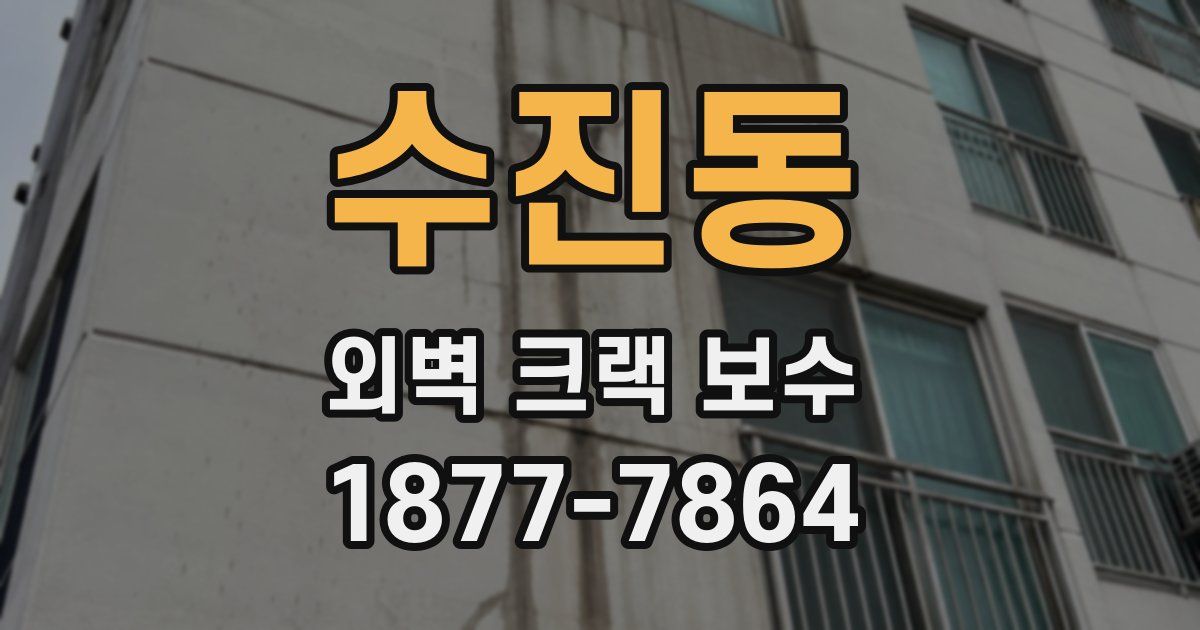 수진동 외벽 크랙 보수
