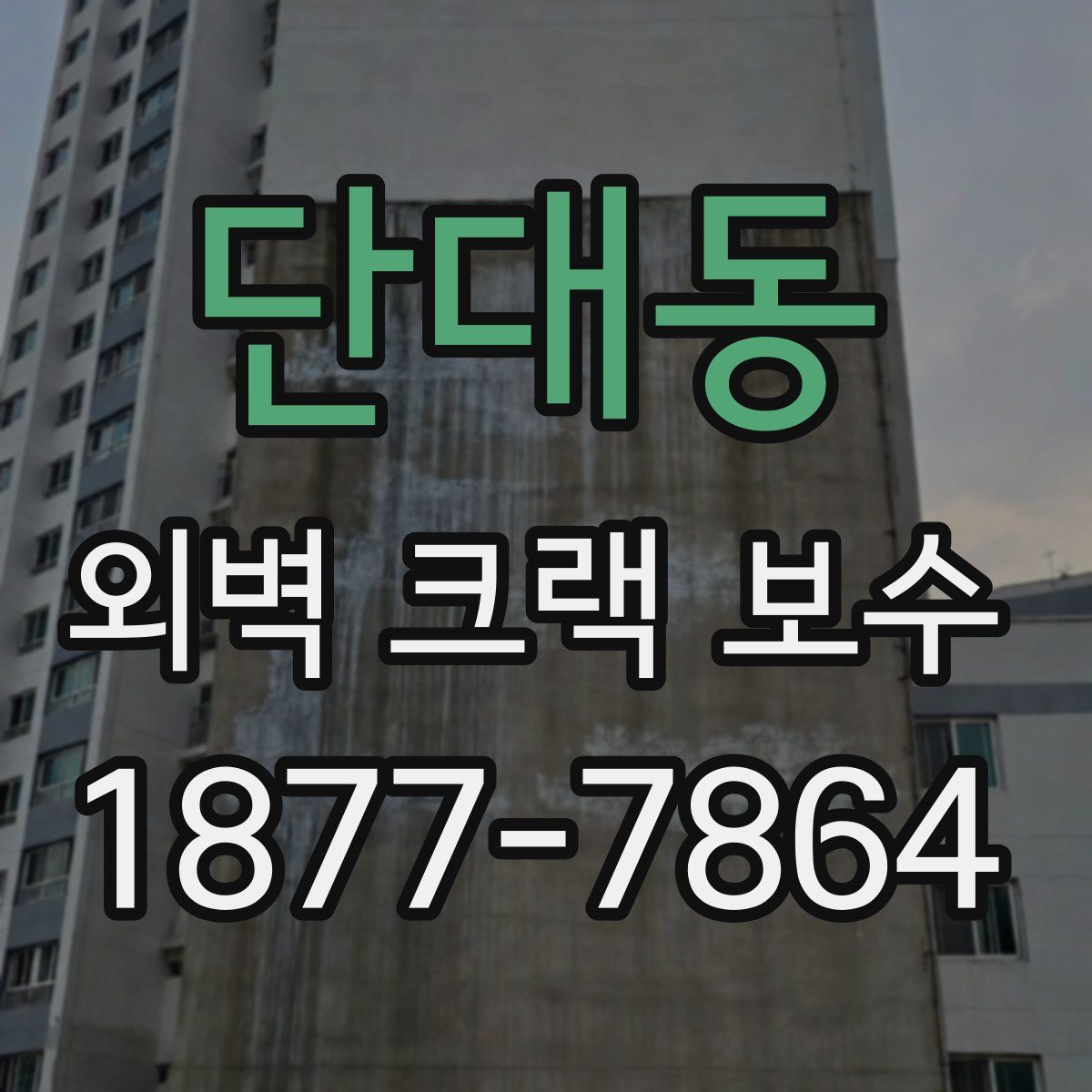 단대동 외벽 크랙 보수
