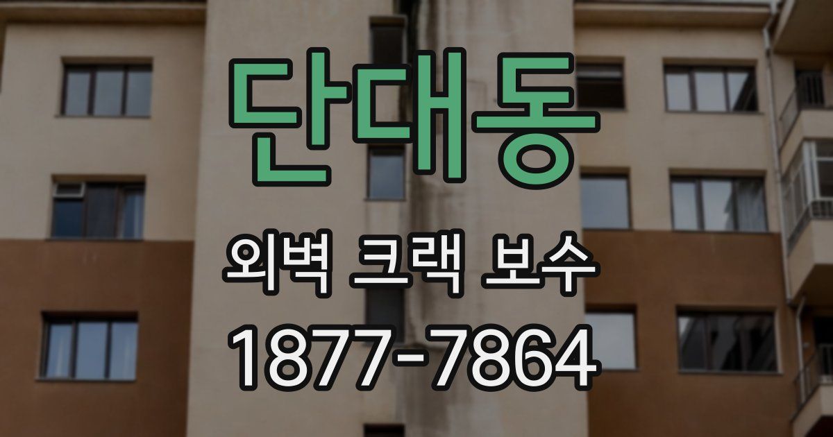 단대동 외벽 크랙 보수