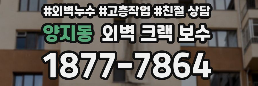 양지동 외벽 크랙 보수