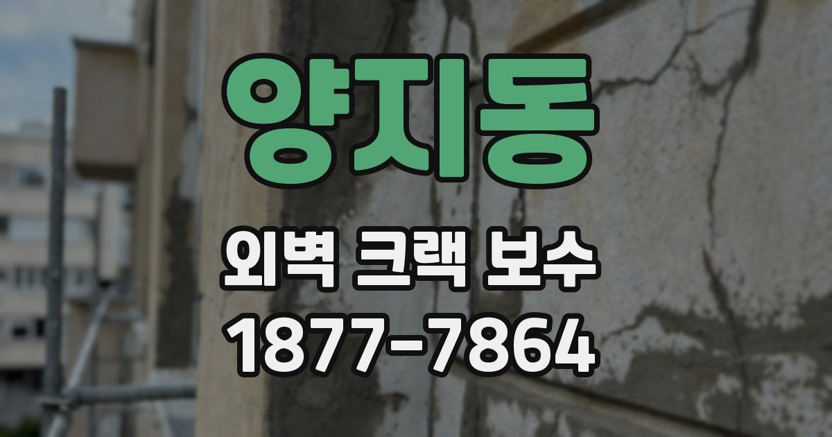 양지동 외벽 크랙 보수