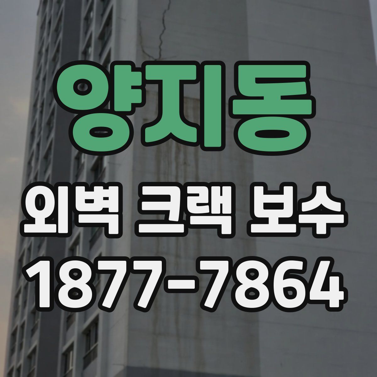 양지동 외벽 크랙 보수