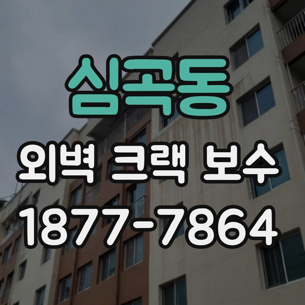 심곡동 외벽 크랙 보수