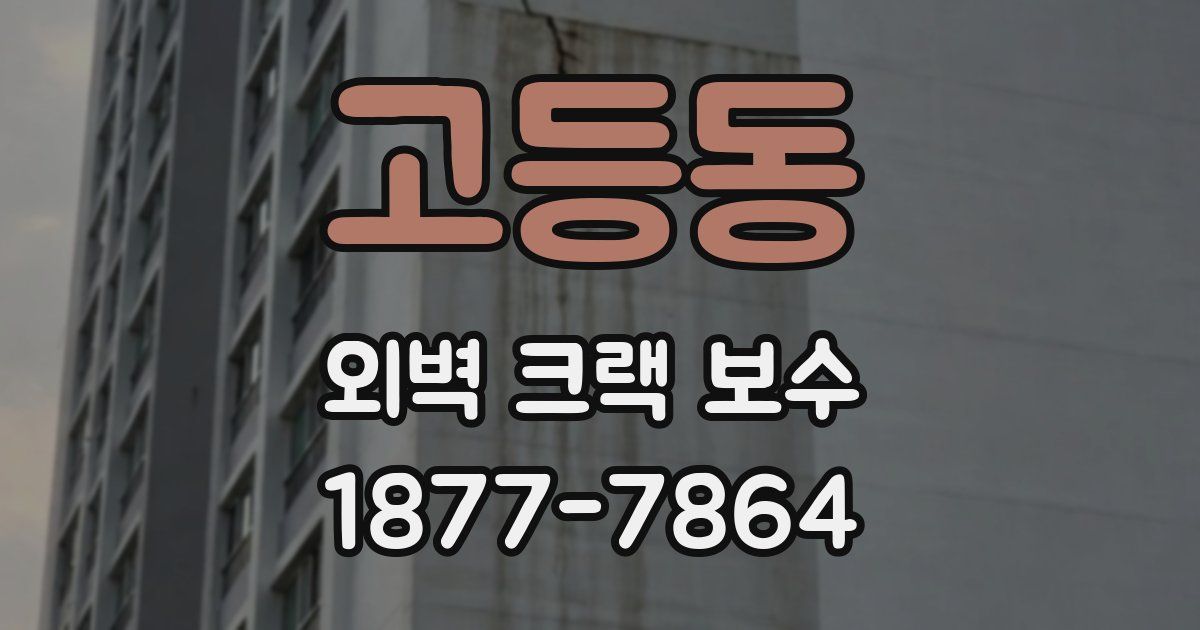 고등동 외벽 크랙 보수
