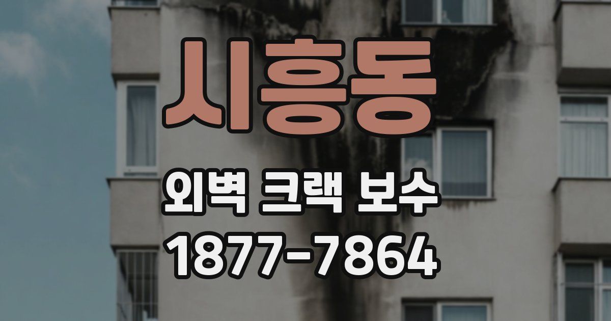 시흥동 외벽 크랙 보수