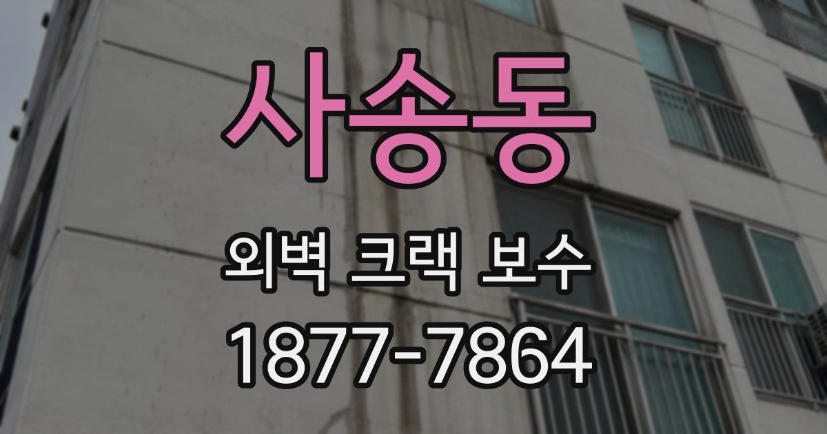 사송동 외벽 크랙 보수