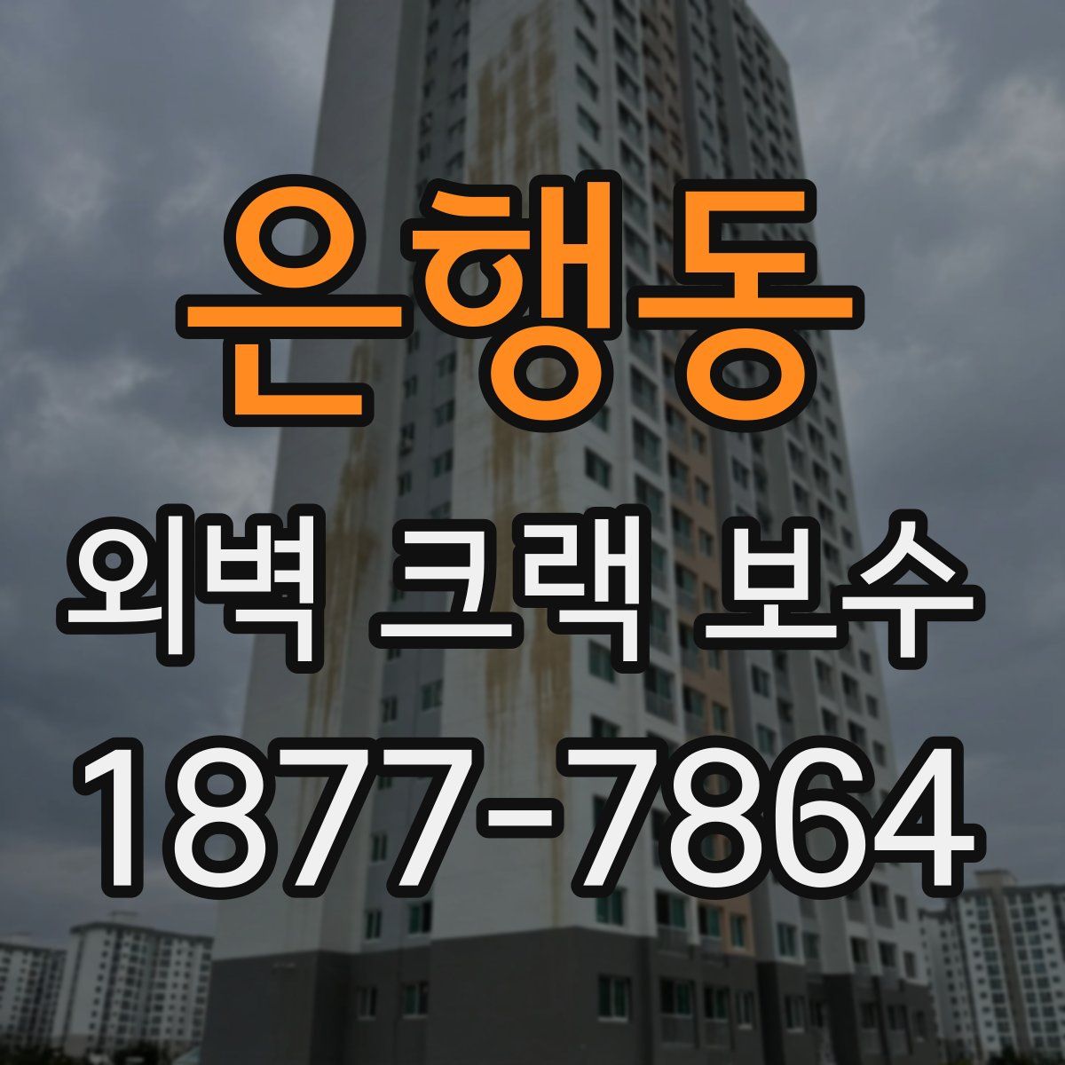 은행동 외벽 크랙 보수