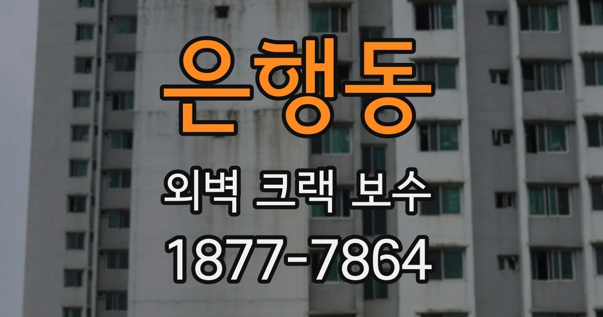 은행동 외벽 크랙 보수