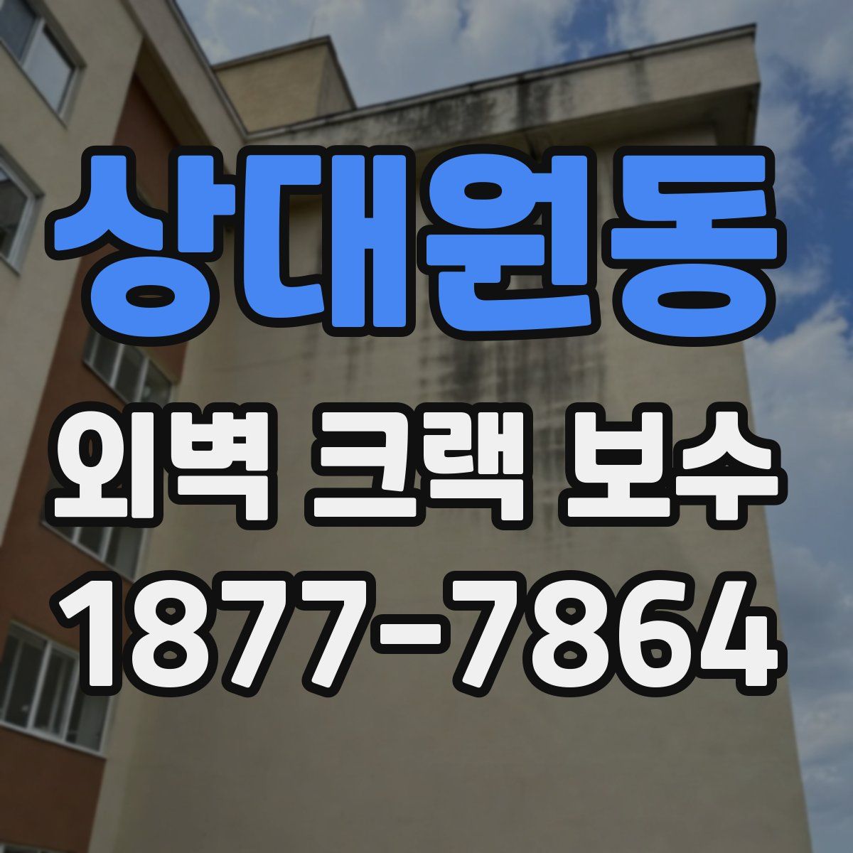 상대원동 외벽 크랙 보수