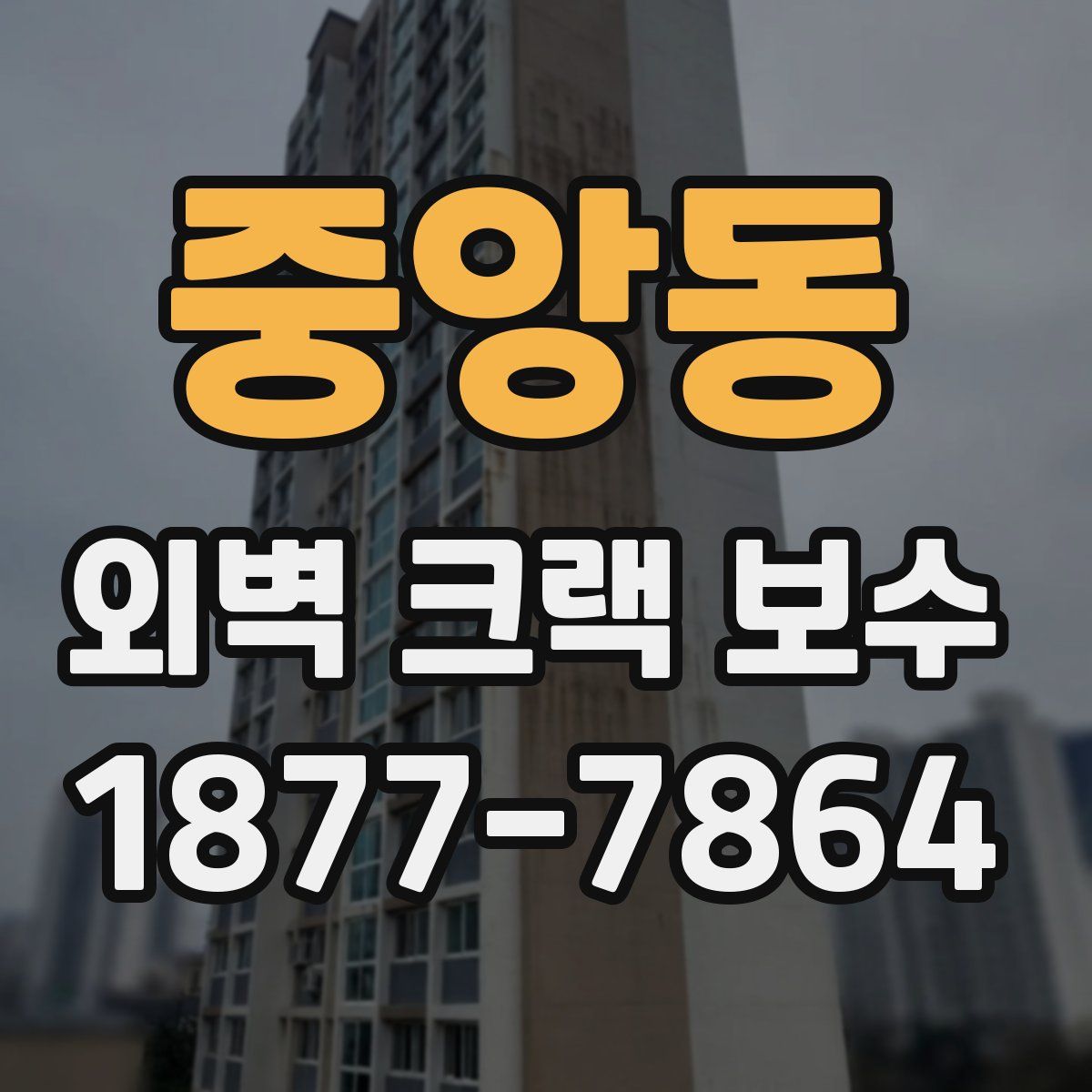 중앙동 외벽 크랙 보수