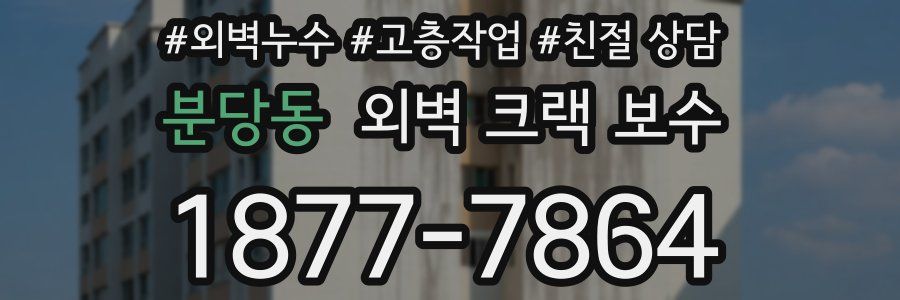 분당동 외벽 크랙 보수