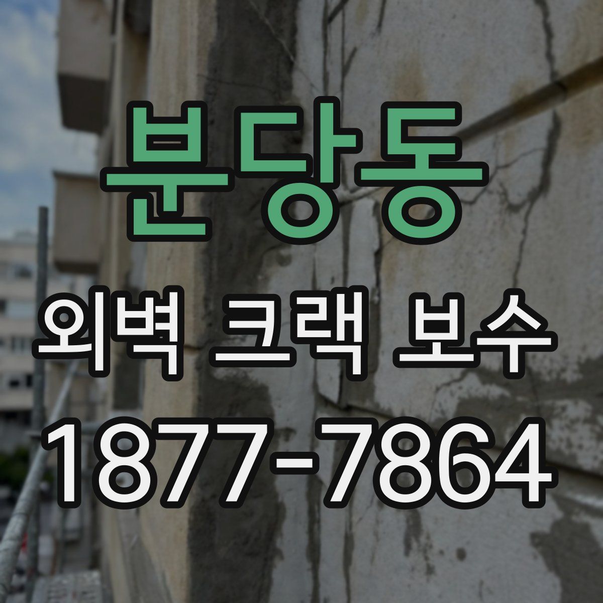 분당동 외벽 크랙 보수