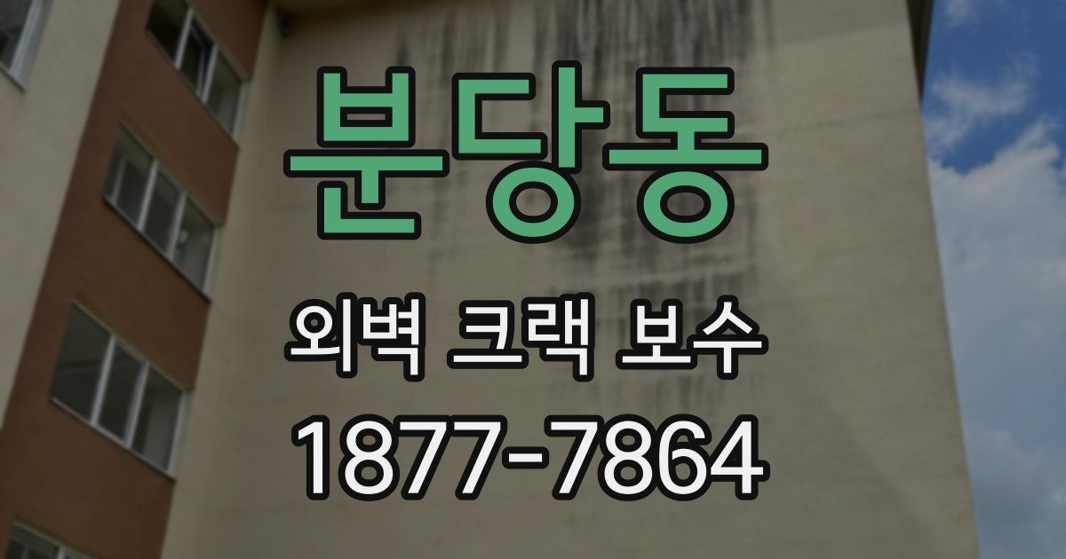 분당동 외벽 크랙 보수