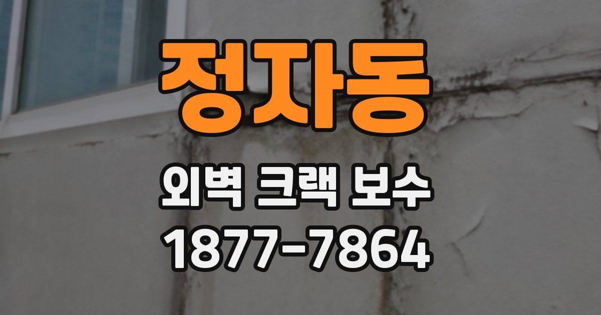정자동 외벽 크랙 보수