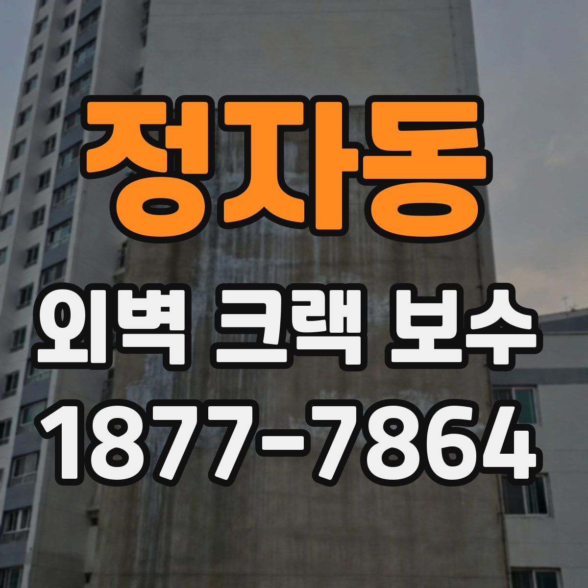 정자동 외벽 크랙 보수