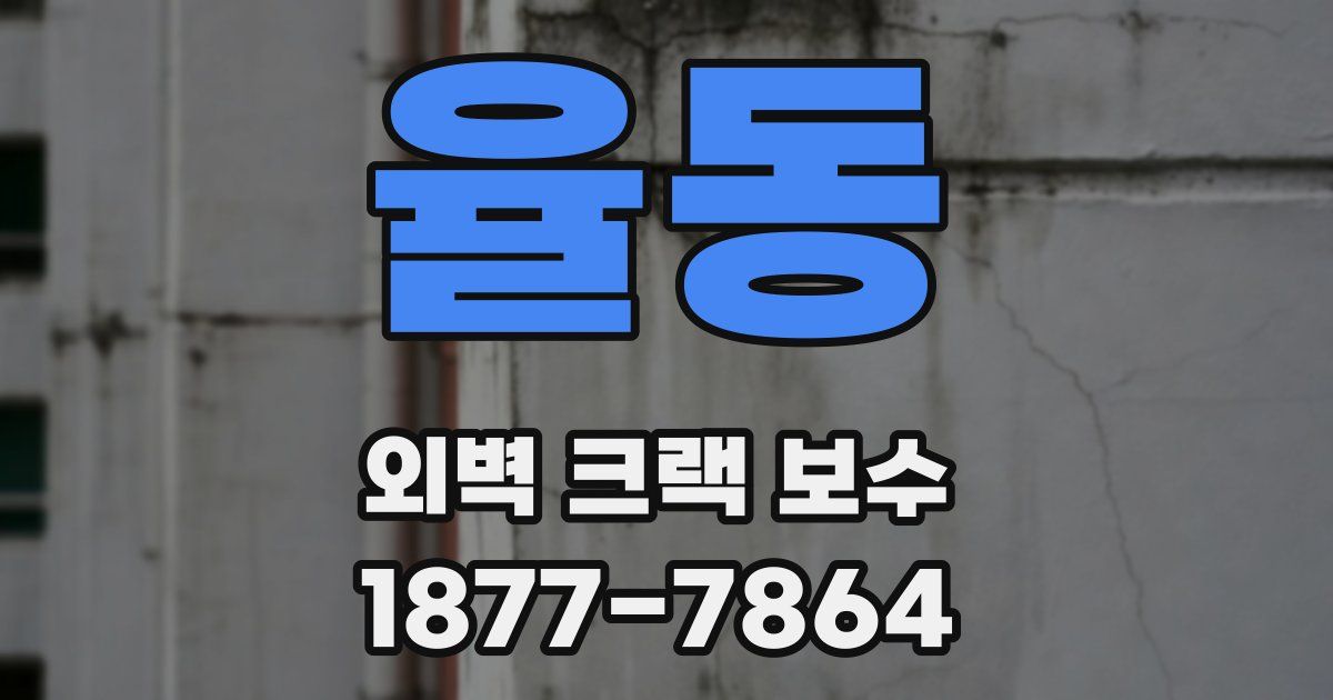 율동 외벽 크랙 보수