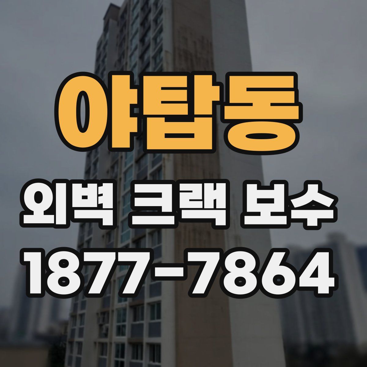 야탑동 외벽 크랙 보수
