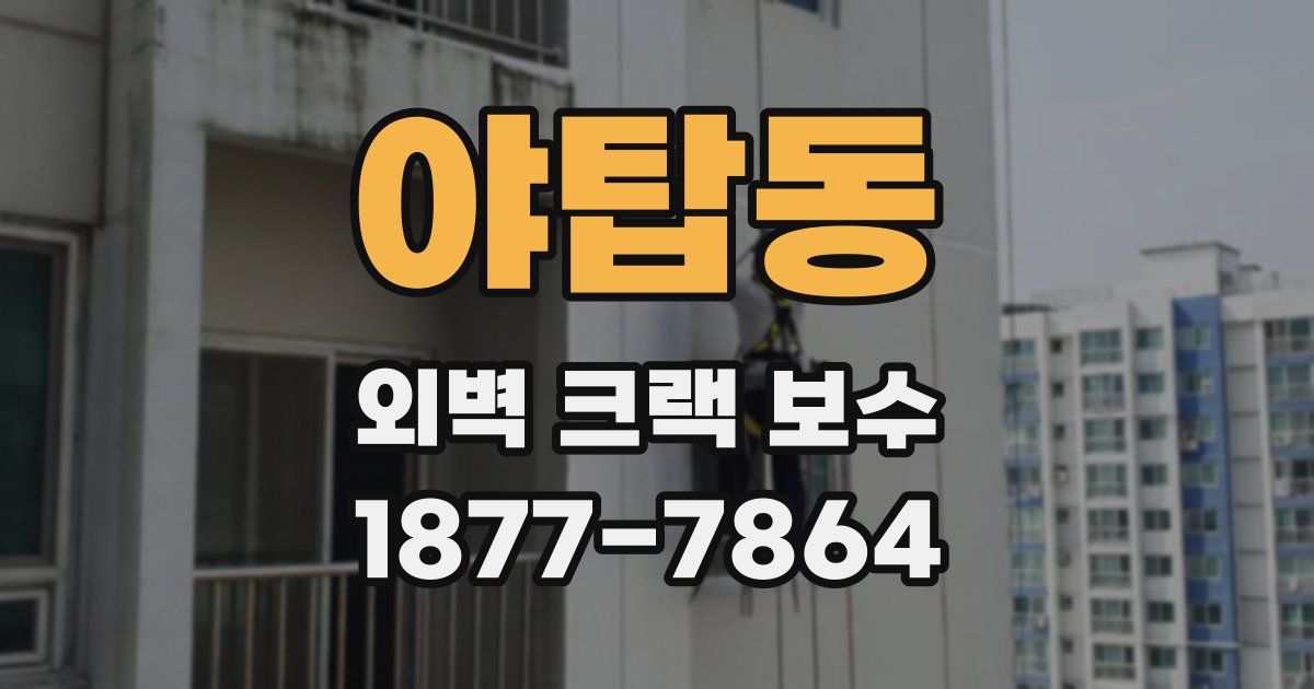 야탑동 외벽 크랙 보수
