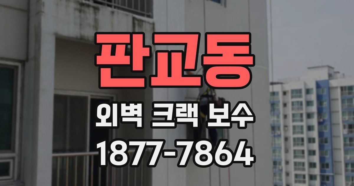 판교동 외벽 크랙 보수