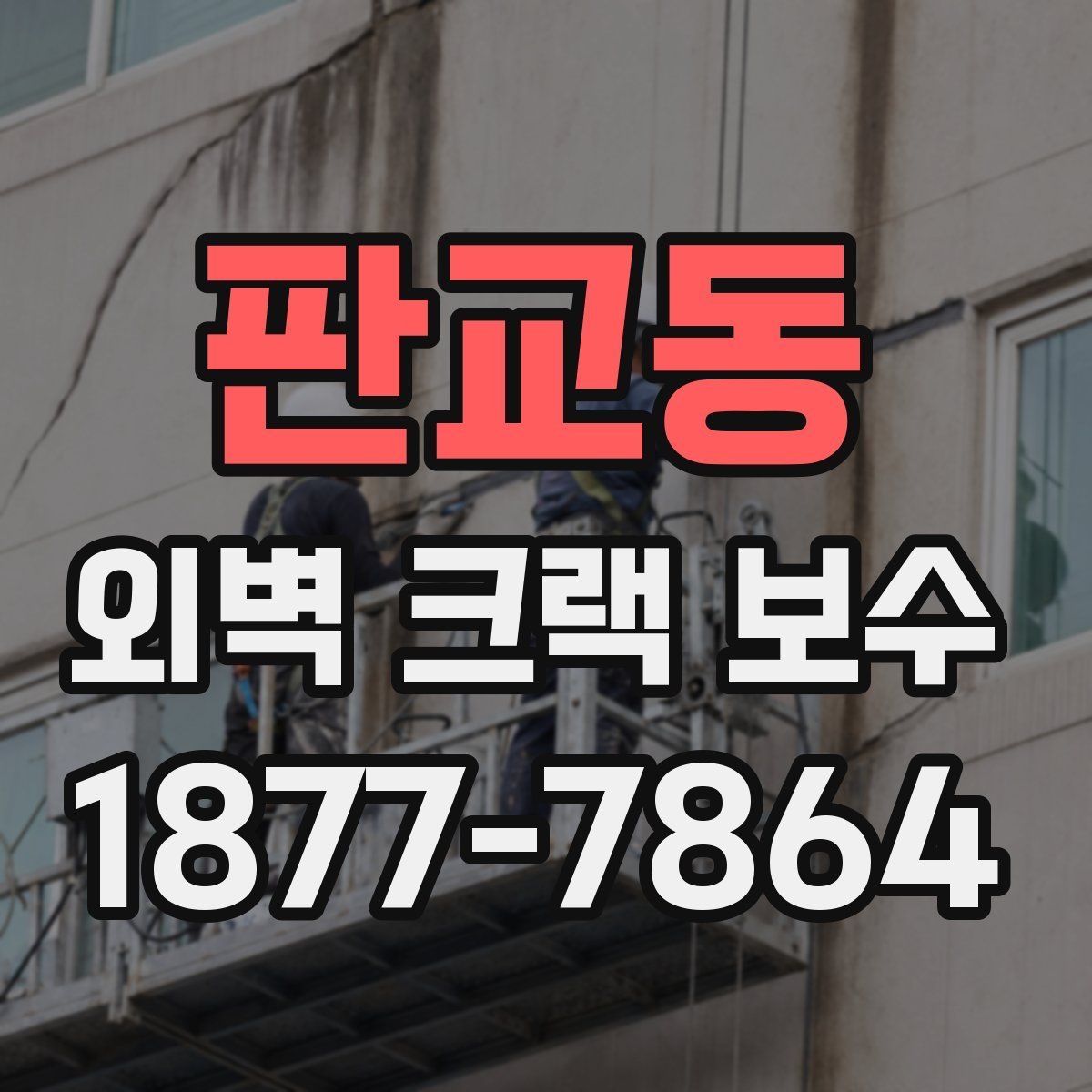 판교동 외벽 크랙 보수