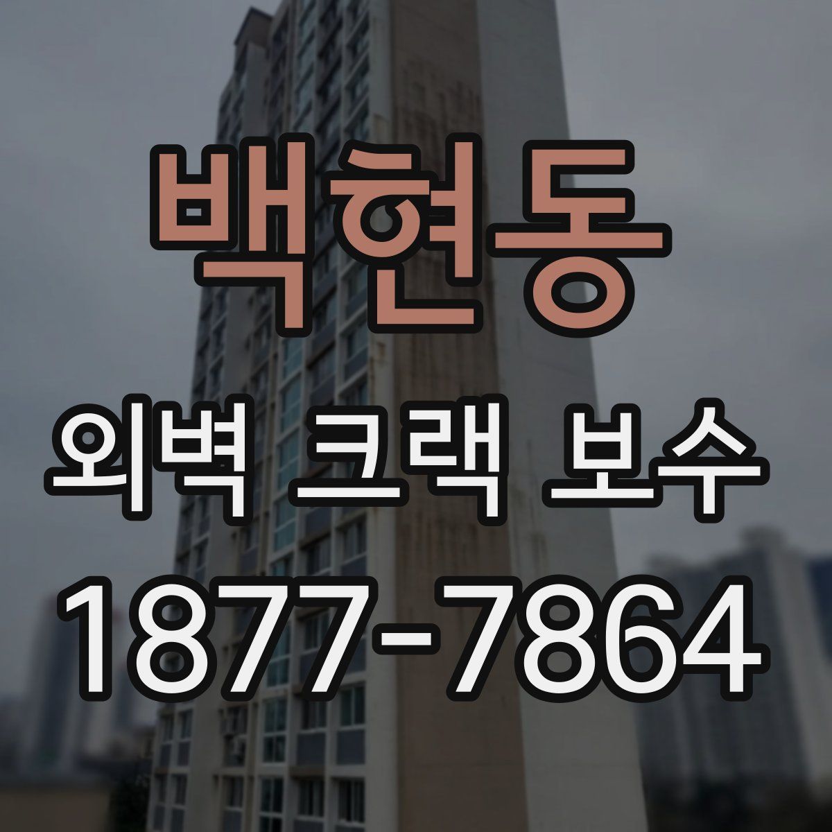 백현동 외벽 크랙 보수