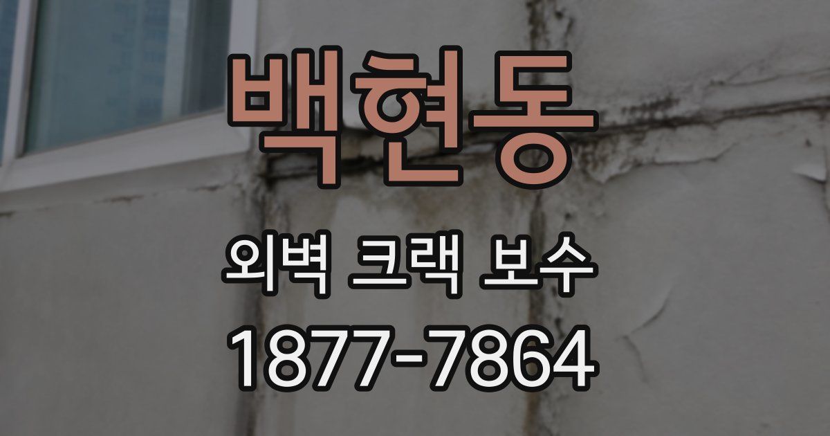 백현동 외벽 크랙 보수