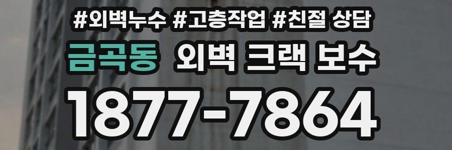 금곡동 외벽 크랙 보수