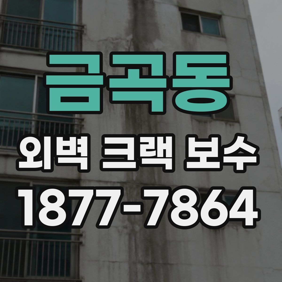 금곡동 외벽 크랙 보수