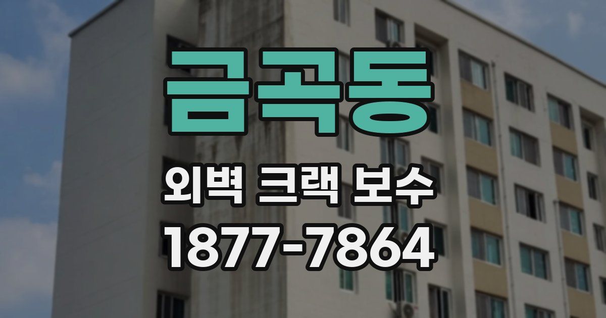 금곡동 외벽 크랙 보수