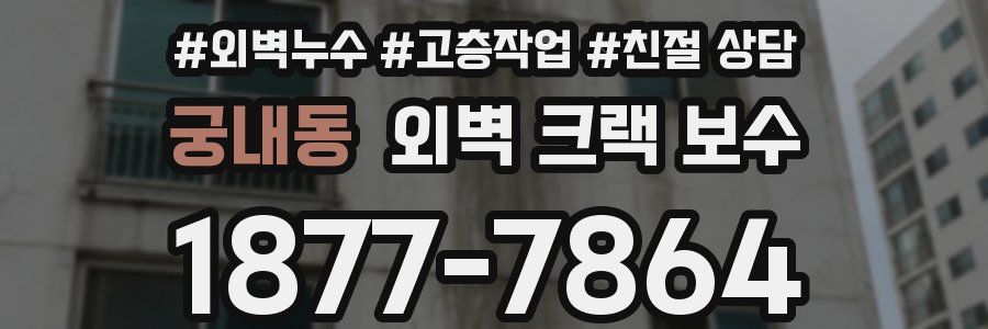 궁내동 외벽 크랙 보수