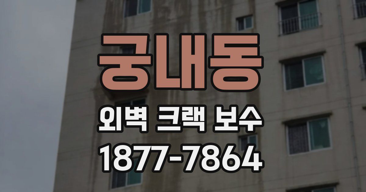 궁내동 외벽 크랙 보수
