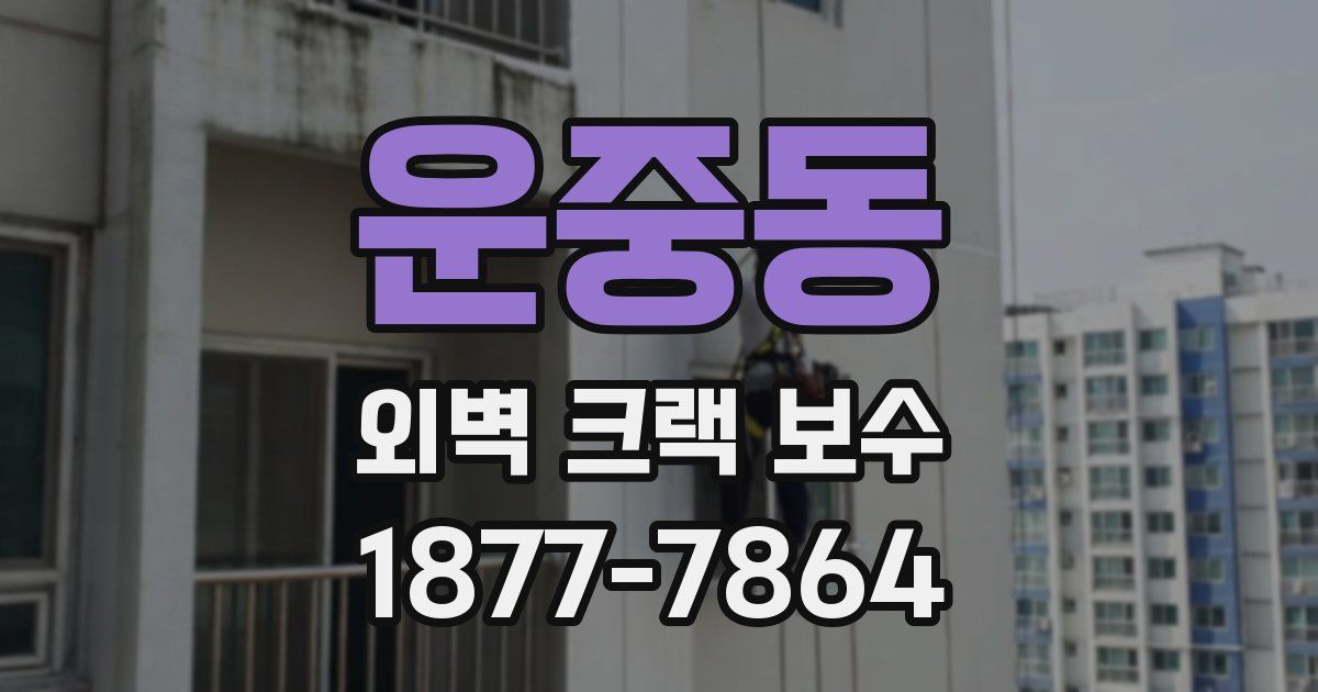 운중동 외벽 크랙 보수