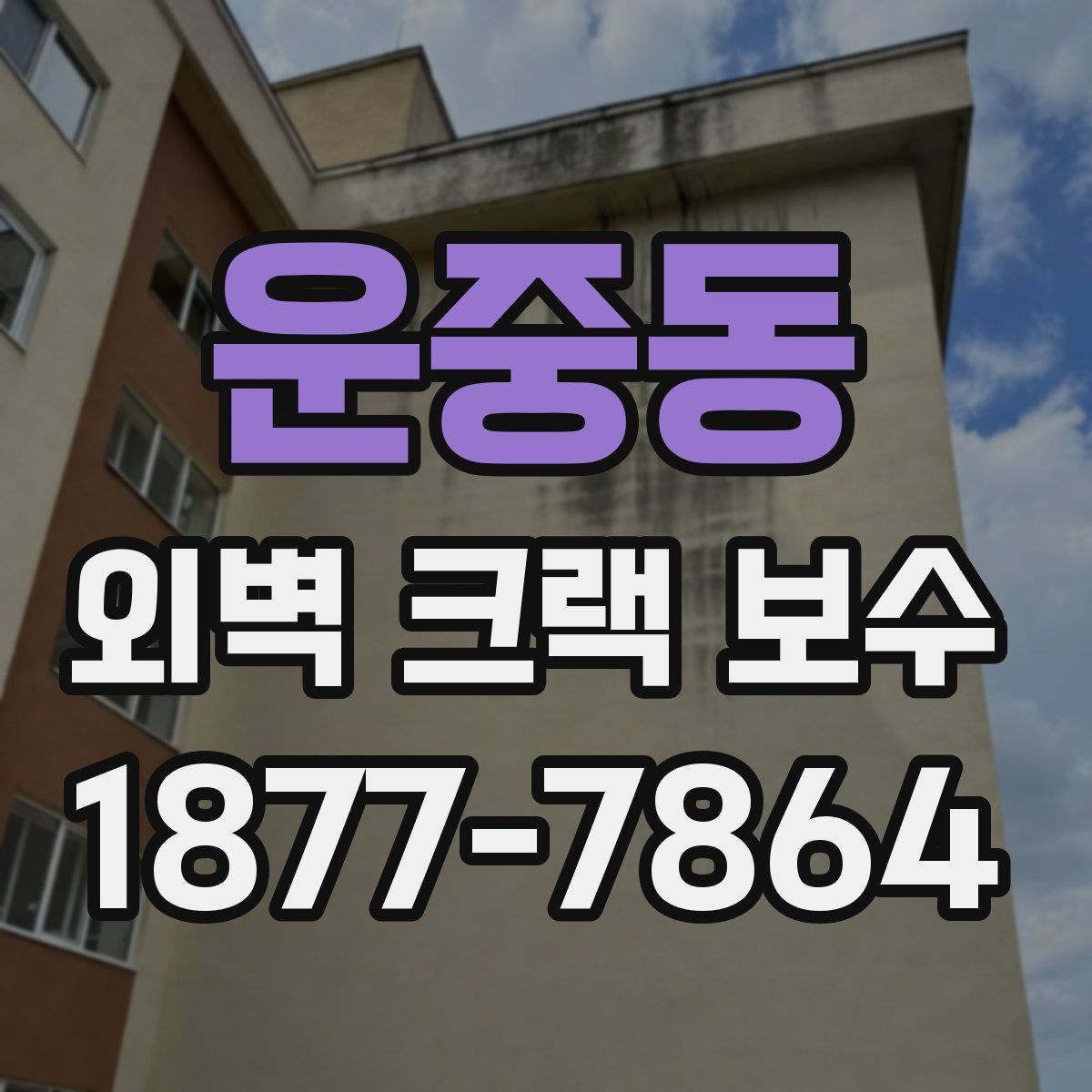 운중동 외벽 크랙 보수