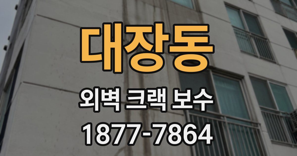대장동 외벽 크랙 보수