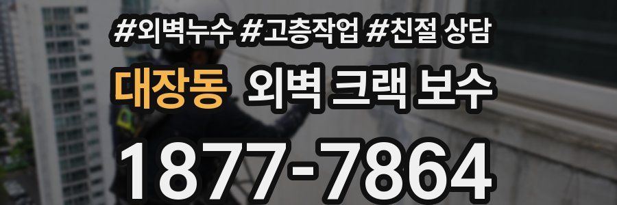 대장동 외벽 크랙 보수