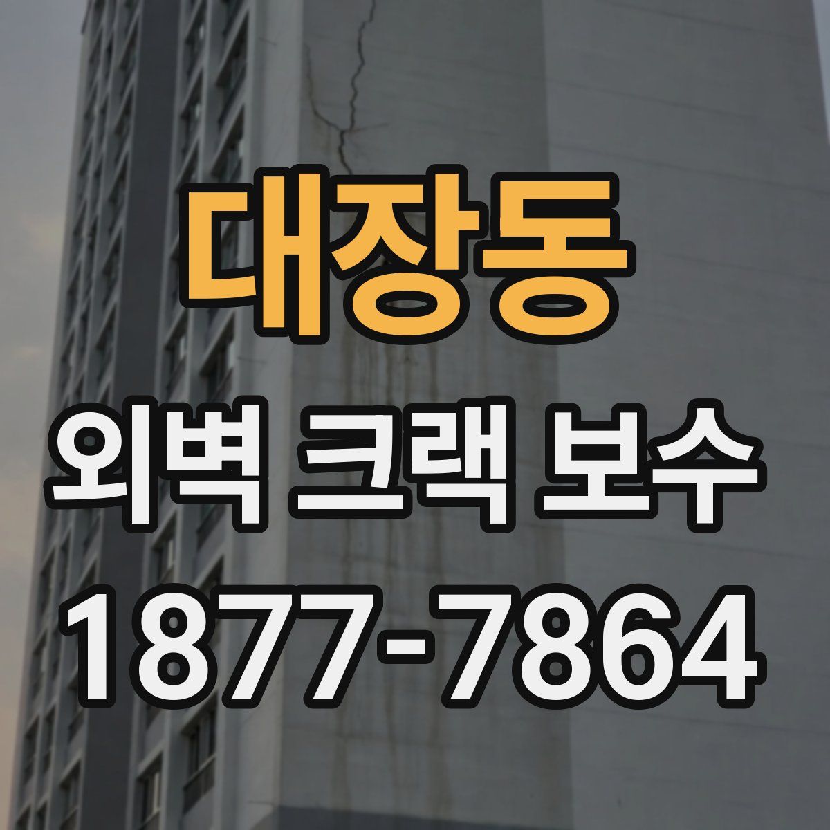 대장동 외벽 크랙 보수