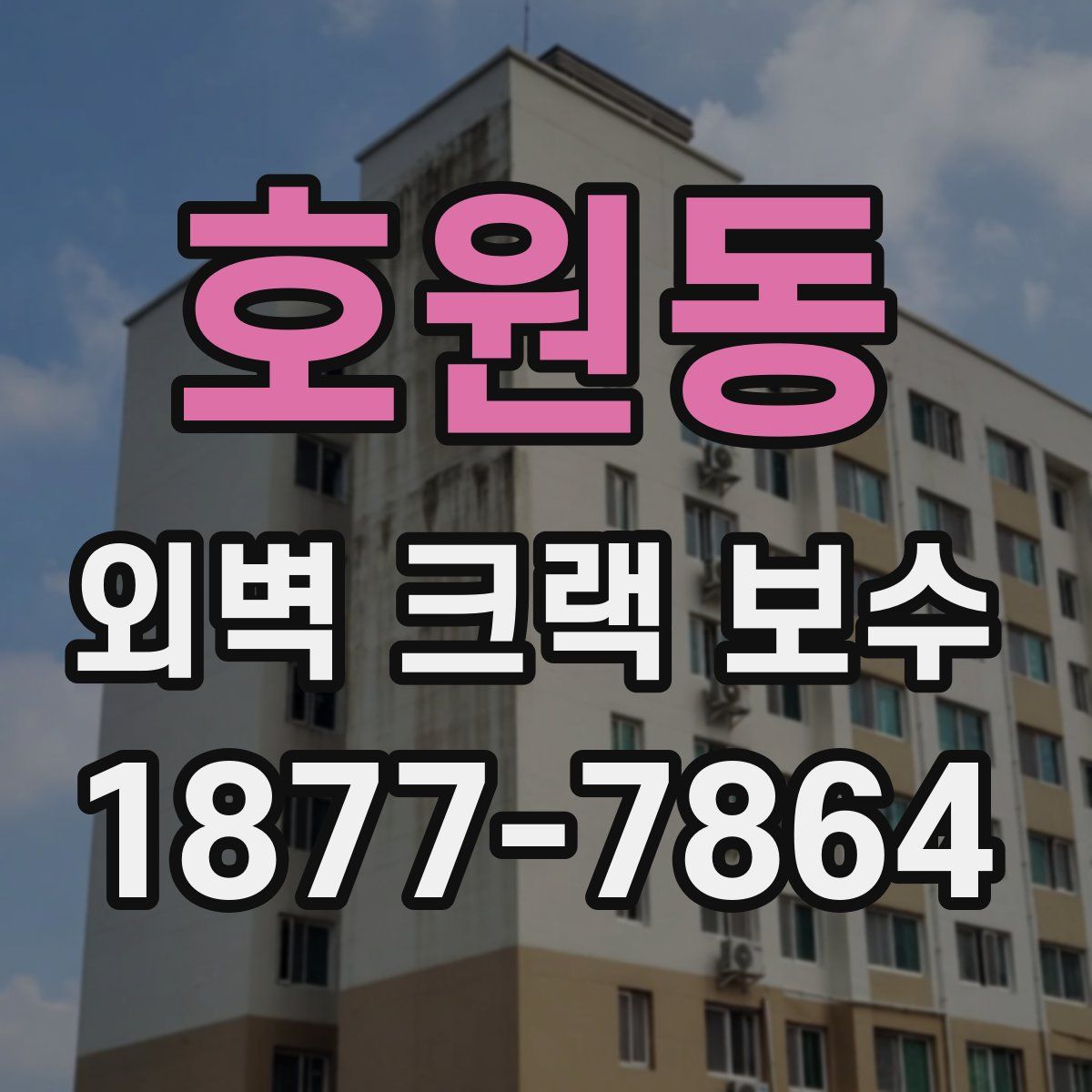 호원동 외벽 크랙 보수