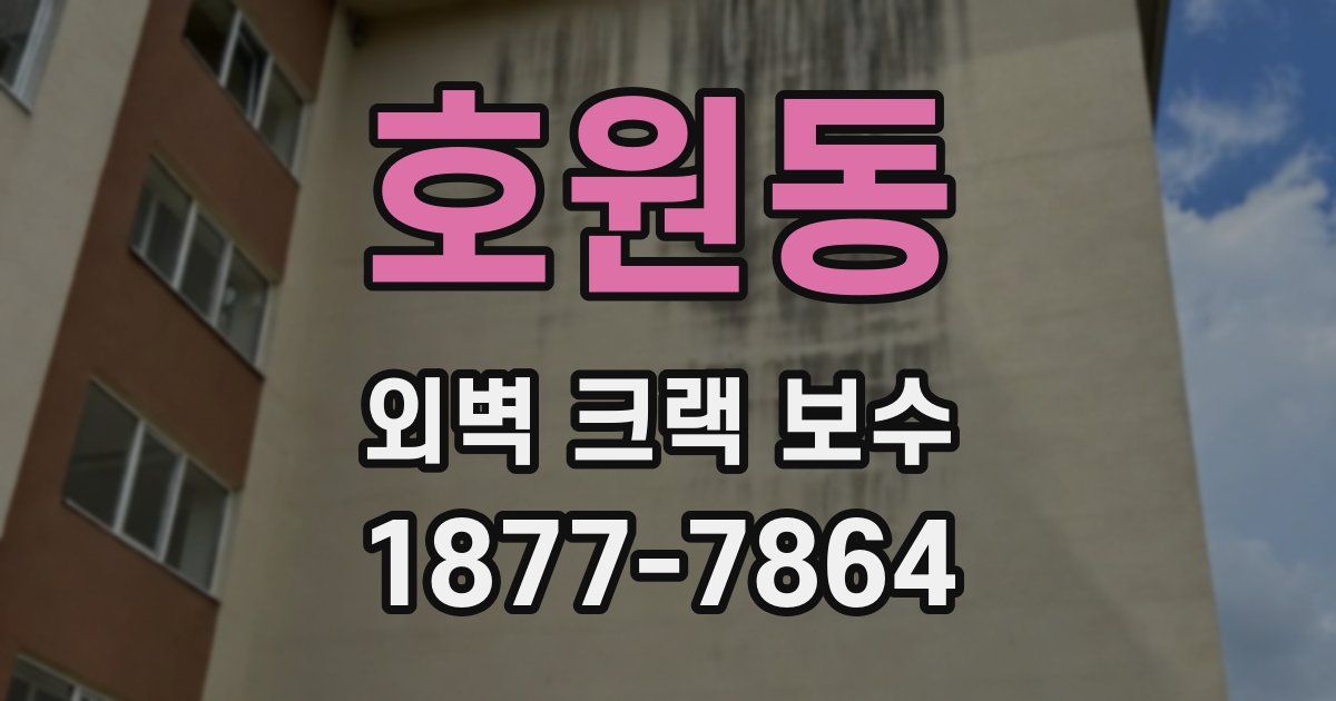 호원동 외벽 크랙 보수