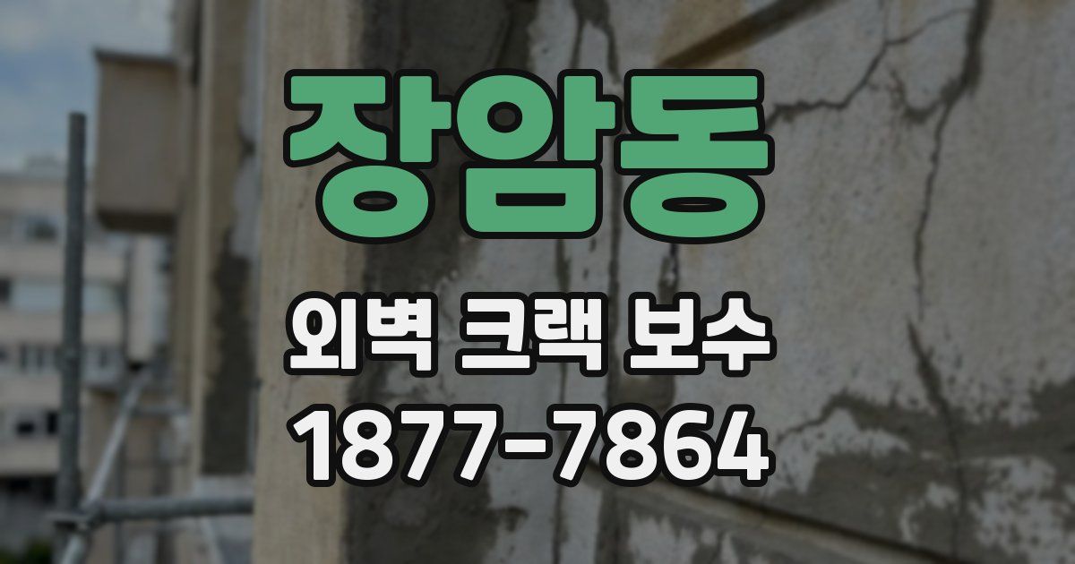 장암동 외벽 크랙 보수