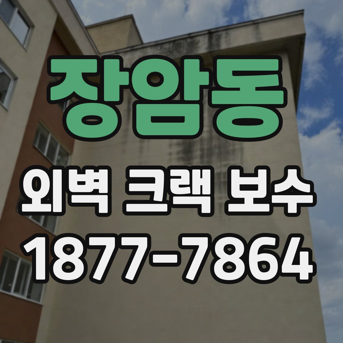 장암동 외벽 크랙 보수